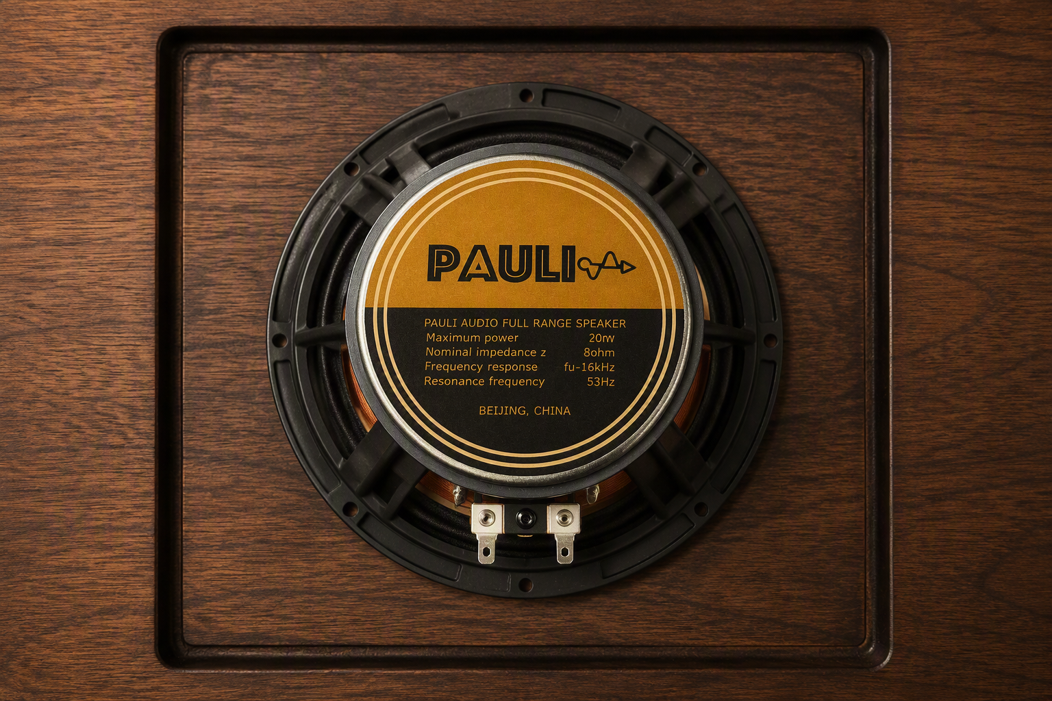 PAULI speaker demo image 1