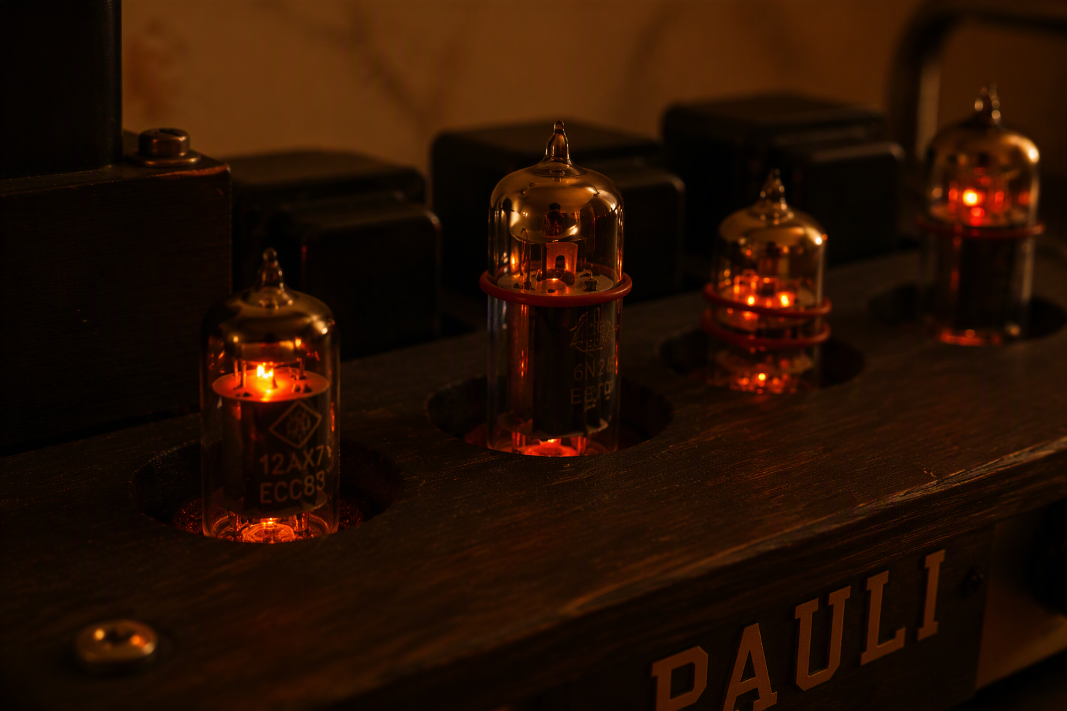 PAULI speaker demo image 2